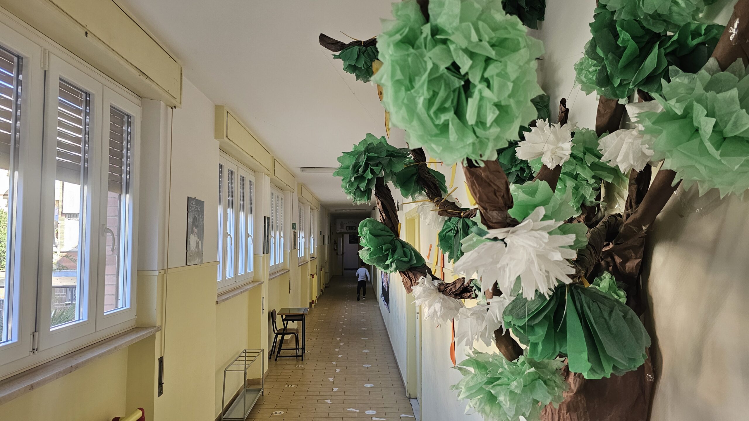spazio 5